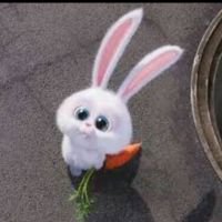Bunny